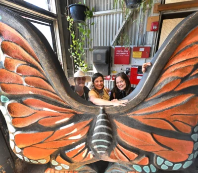 art-of-community-batterfly